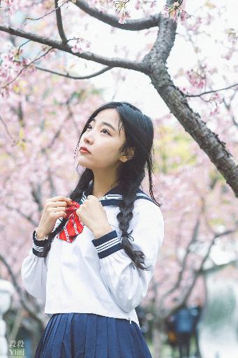 风流医生免费观看高清电视剧完整版