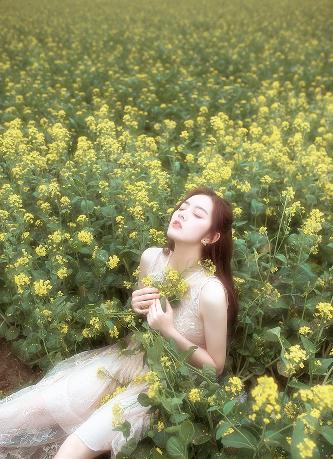 隐锋电视剧免费观看全集高清