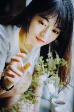 树影迷宫电视剧免费播放