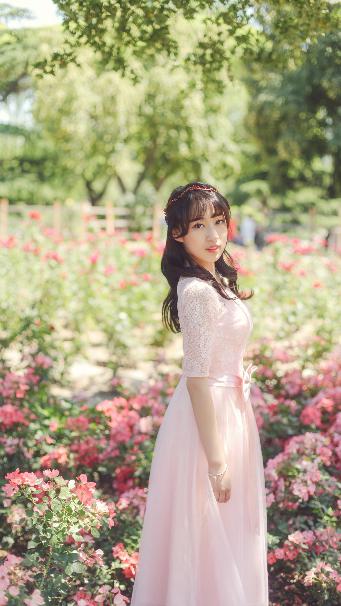 华丽的外出在线观看