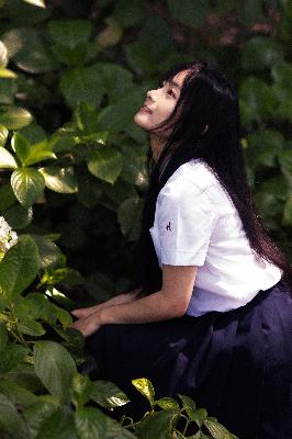 锦月如歌电视剧免费观看