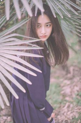 平凡之路电视剧完整免费观看高清