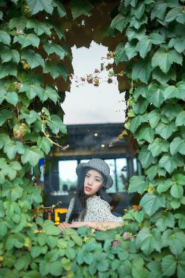 如懿传在线看全集免费观看高清