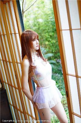 雪豹电视剧全集免费观看完整版