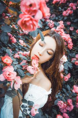 最新电视剧排行榜