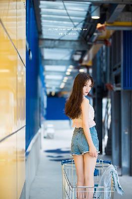 树影迷宫电视剧免费高清观看全集