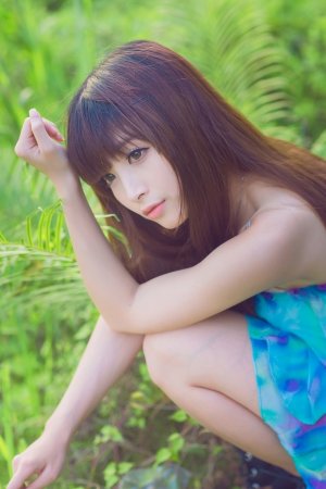 沧元图第二季在线完整免费观看