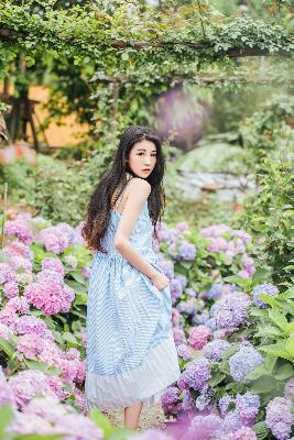 桔子在线观看免费高清电视剧完整版