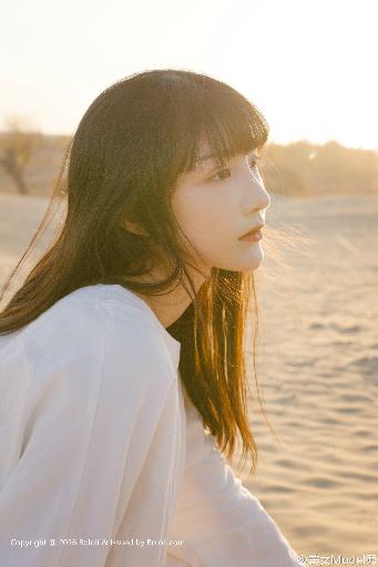 一笑随歌电视剧免费观看