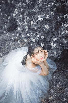 永生第五季之太元仙府在线观看