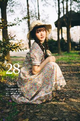 间谍过家家第三季