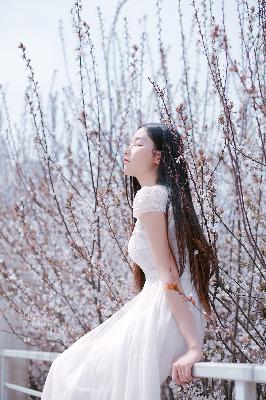 老九门电视剧全集免费观看高清