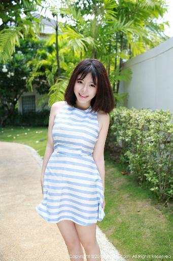 仙台有树电视剧免费观看全集高清完整版