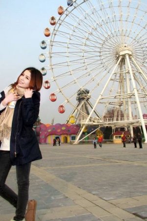 书卷一梦电视剧免费观看完整版