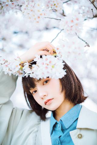 琥珀樱桃电视剧在线观看全集免费