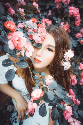 金瓶双艳电视剧免费观看全集高清